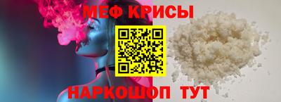 СК Кингисепп