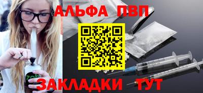 СК Кингисепп
