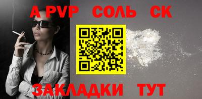 СК Кингисепп