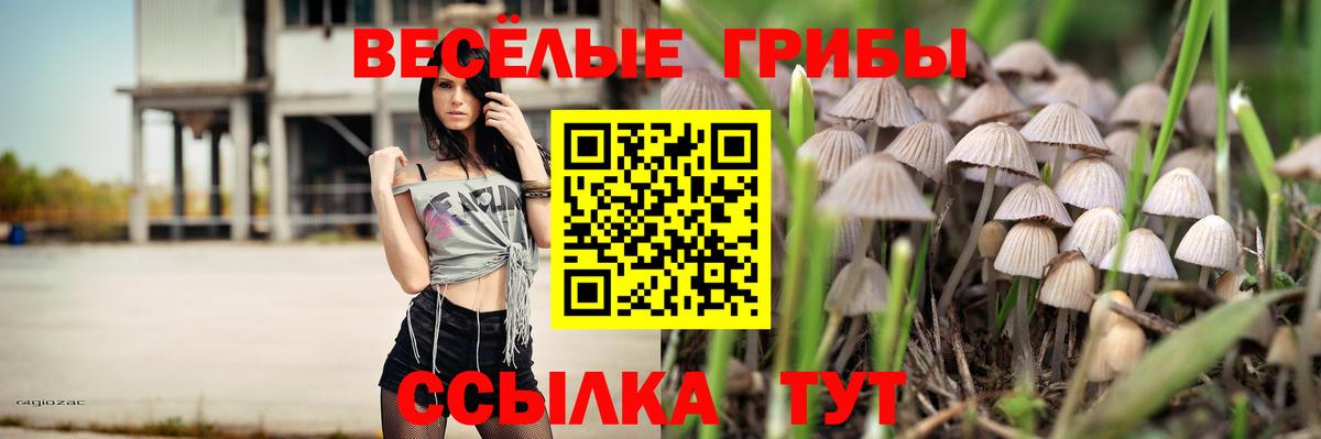 Костомукша  Галлюциногенные грибы Magic Shrooms  Вход с VPN 